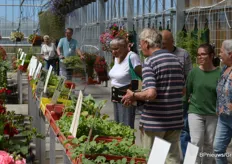 Bezoekers konden groenteplanten bij elkaar scharrelen in de kas bij Huyskweker Vers van Voorne